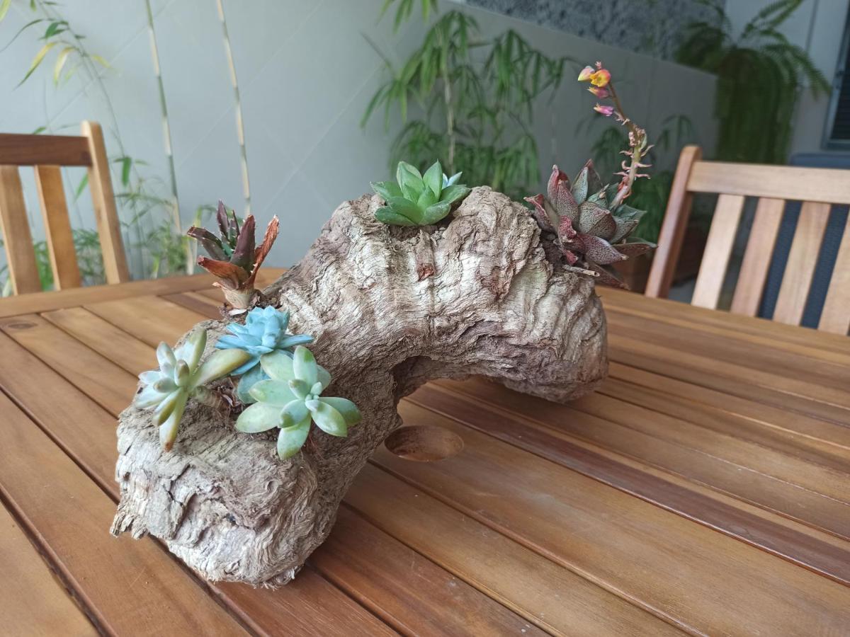 House Fifteen Horta  Luaran gambar